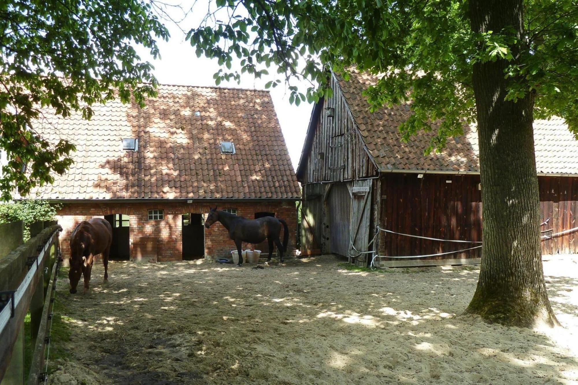 Ferienwohnung In Dorfmark Kültér fotó