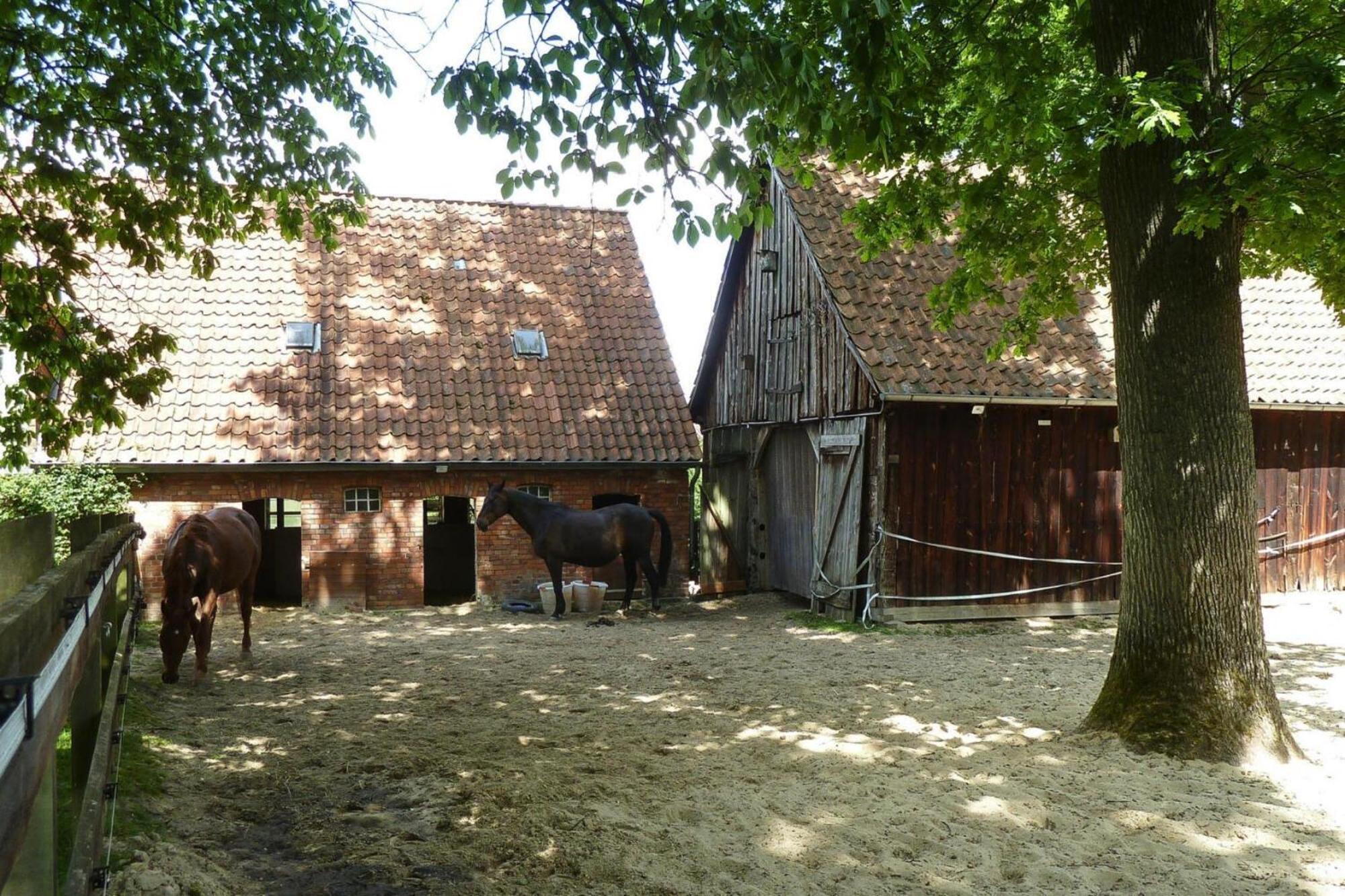 Ferienwohnung In Dorfmark Kültér fotó